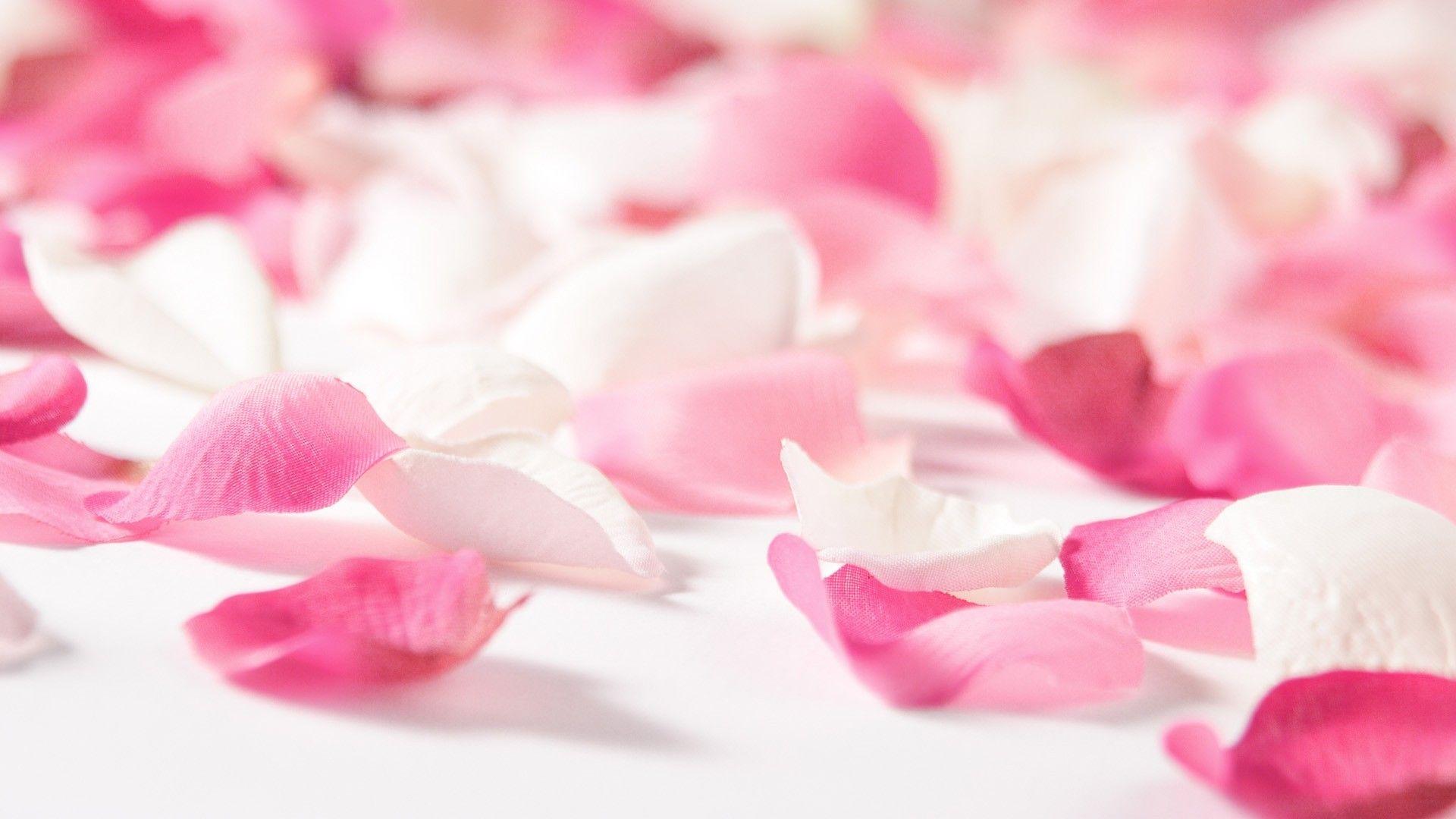 1920x1080 pink