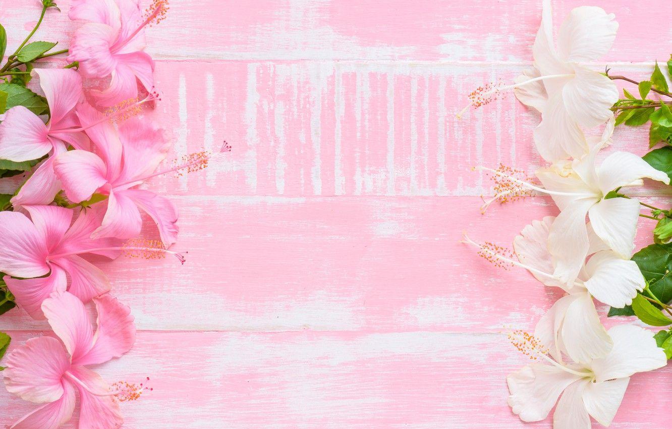 1332x850 Wallpaper flowers, background, pink, wood, pink, flowers image