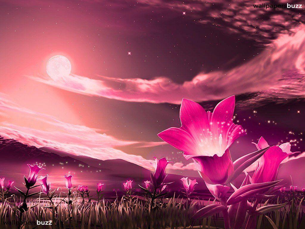 1024x768 Fantastic pink flowers HD Wallpaper