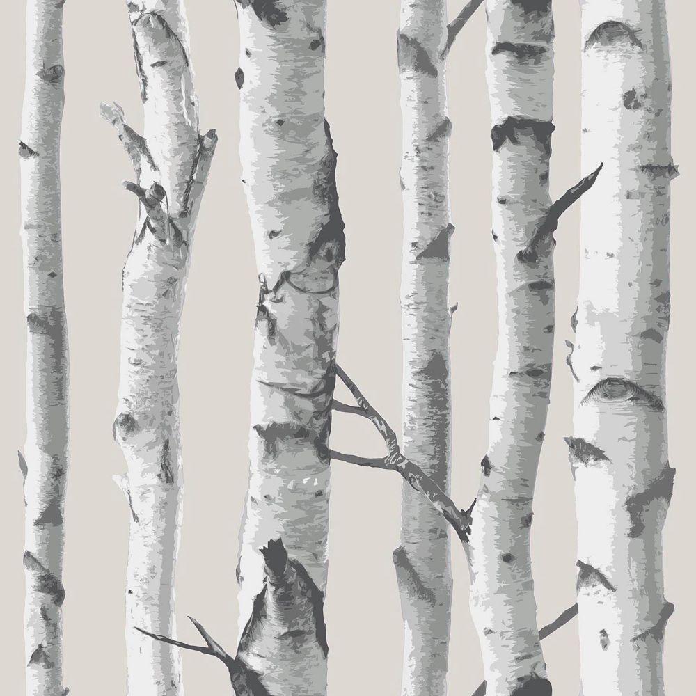 1000x1000 NuWallpaper Birch Tree Peel & Stick Wallpaper