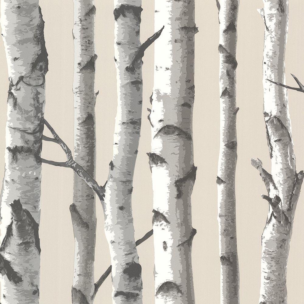 1000x1000 Chesapeake Tuxbury Beige Birch Tree Wallpaper TLL21499 Home