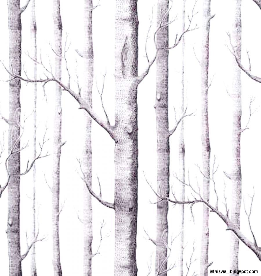 900x950 Birch Tree Wallpaper