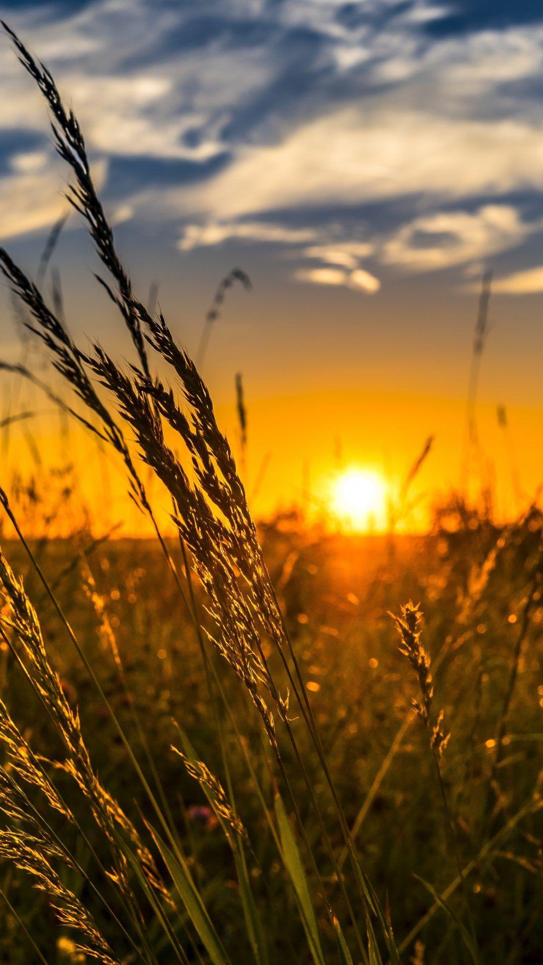 1080x1920 Summer Sunset 4K 5K Wallpaper. HD Wallpaper Background