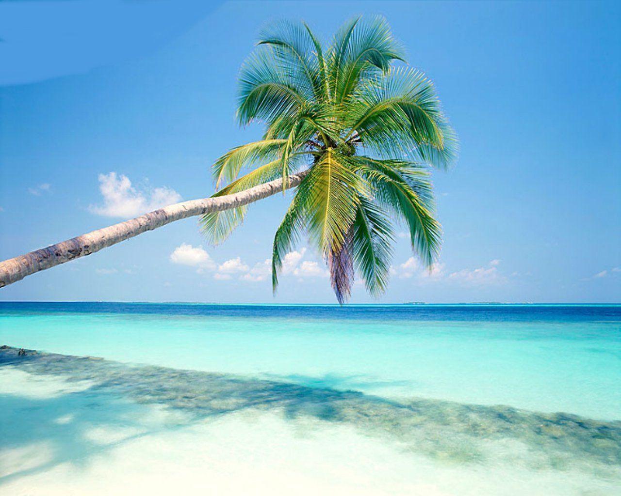 1280x1024 Maldives Island Background Wallpaper