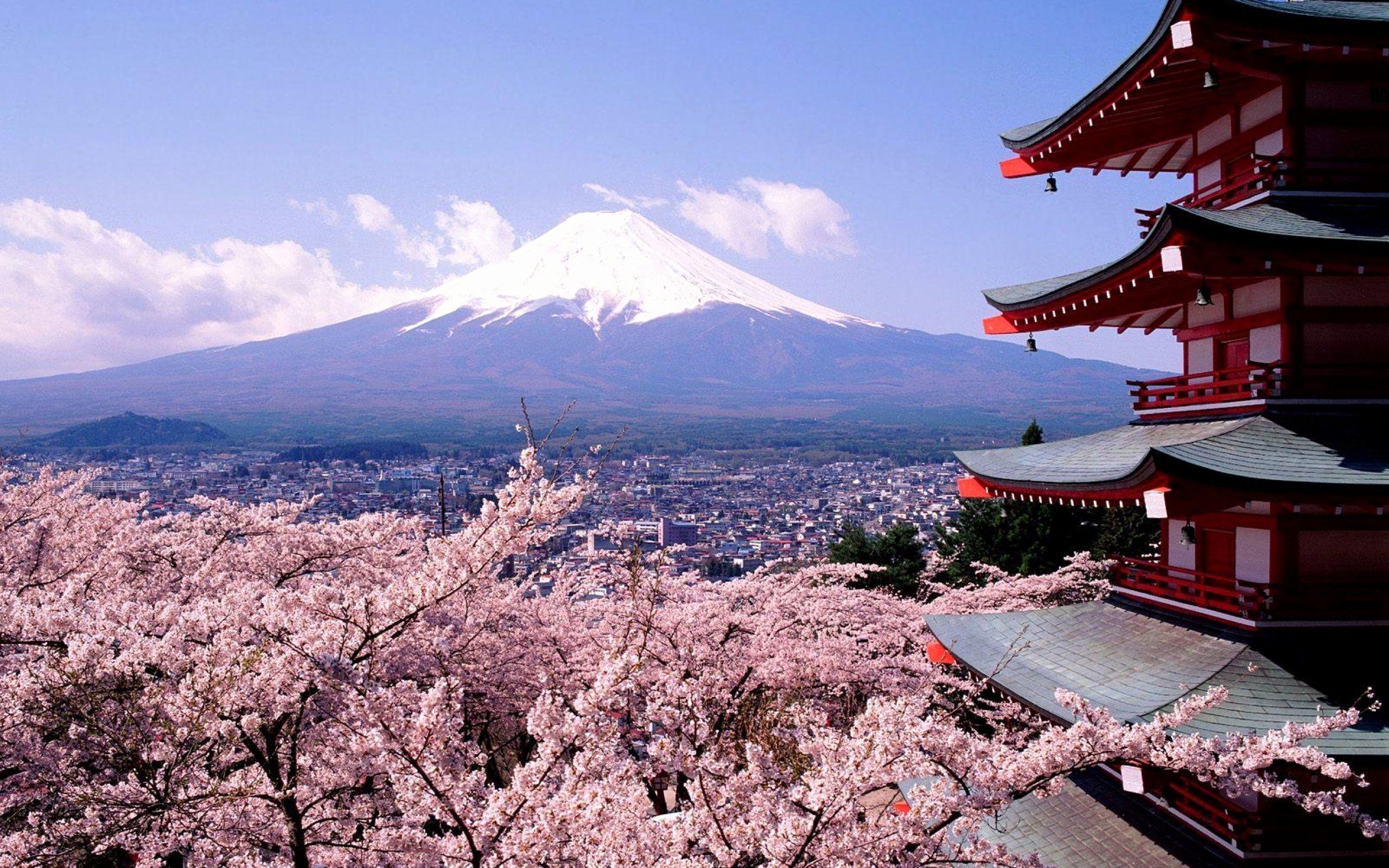2560x1600 Beautiful Japanese Wallpaper Picture. HD Wallpaper Collection