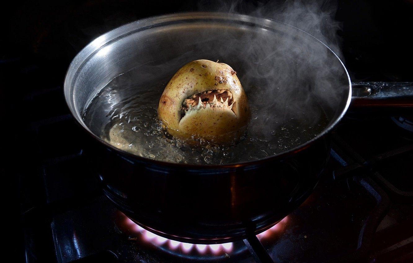 1332x850 Wallpaper food, teeth, burner, mouth, gas, pan, potatoes, alive
