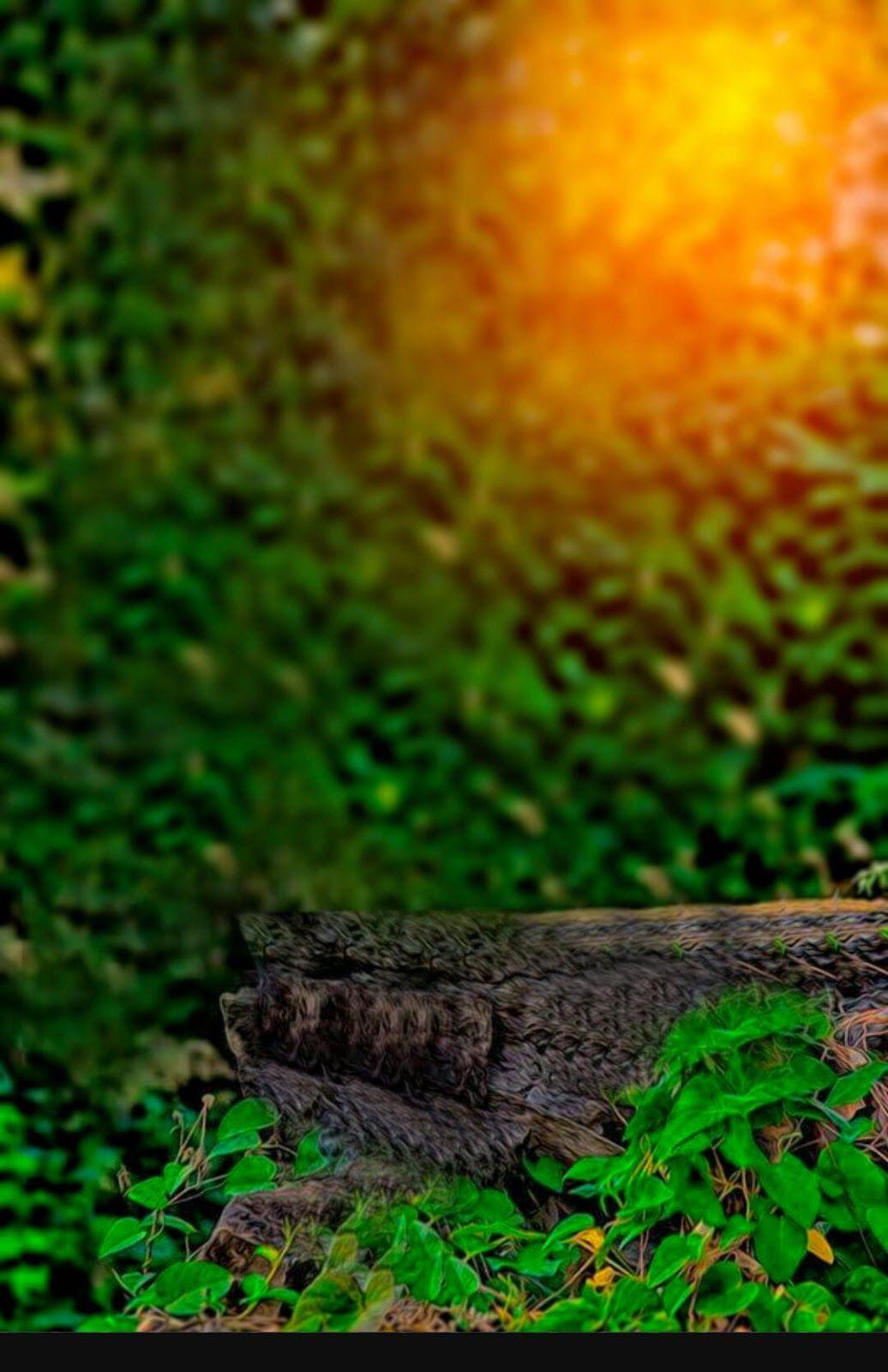 PicsArt Wallpapers Top Free PicsArt Backgrounds WallpaperAccess