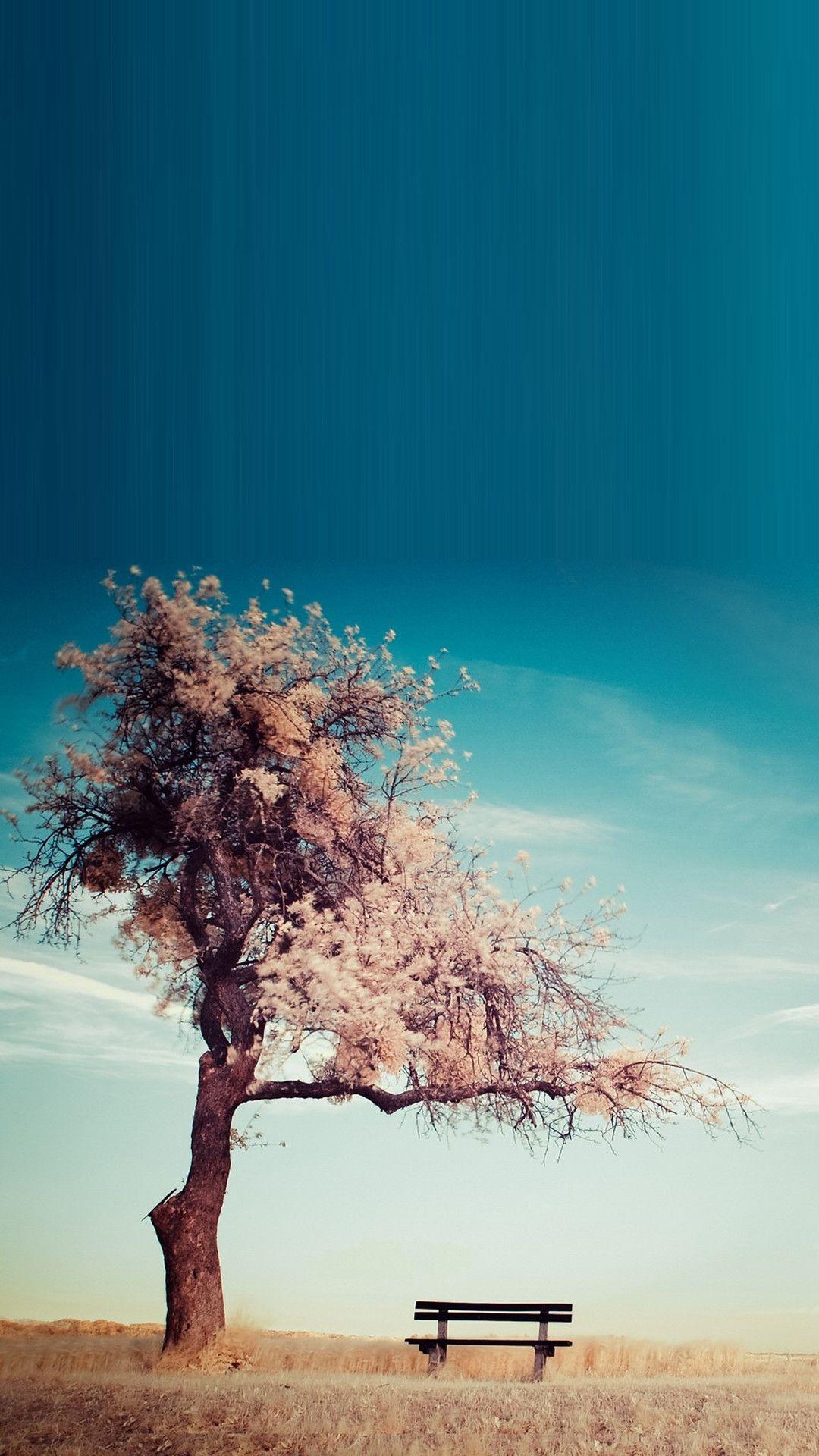 1080x1920 Full HD Smartphone Wallpaper