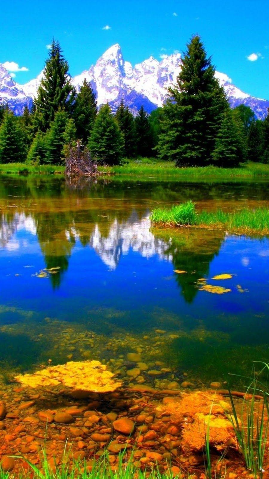 Вертикальное Фото Высокого Качества