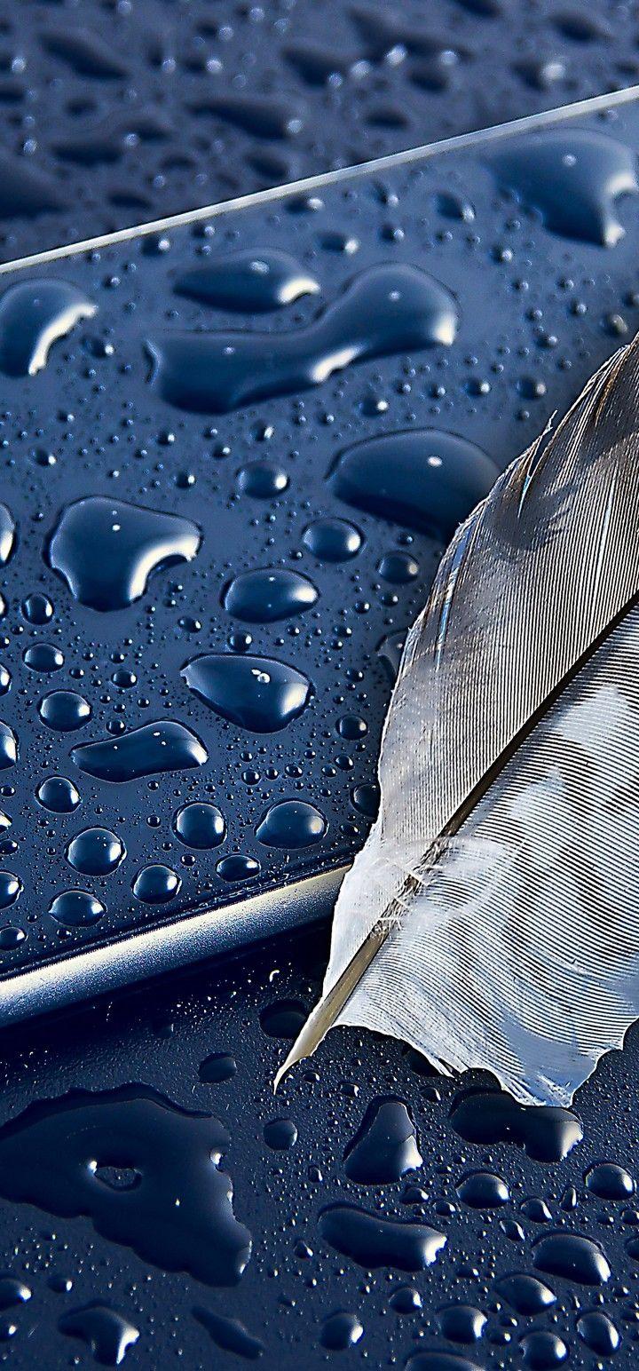 720x1544 iPhone 6 Apple Feather Smartphone Wallpaper - [720x1544]