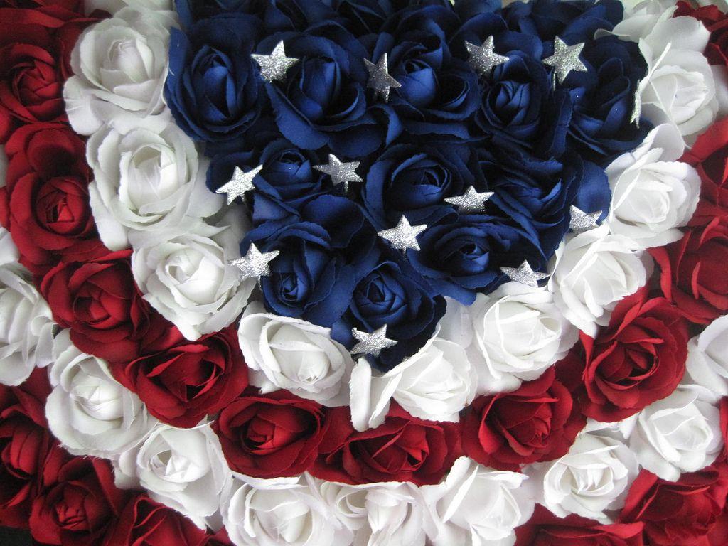 Red White And Blue Flowers Wallpapers Top Free Red White