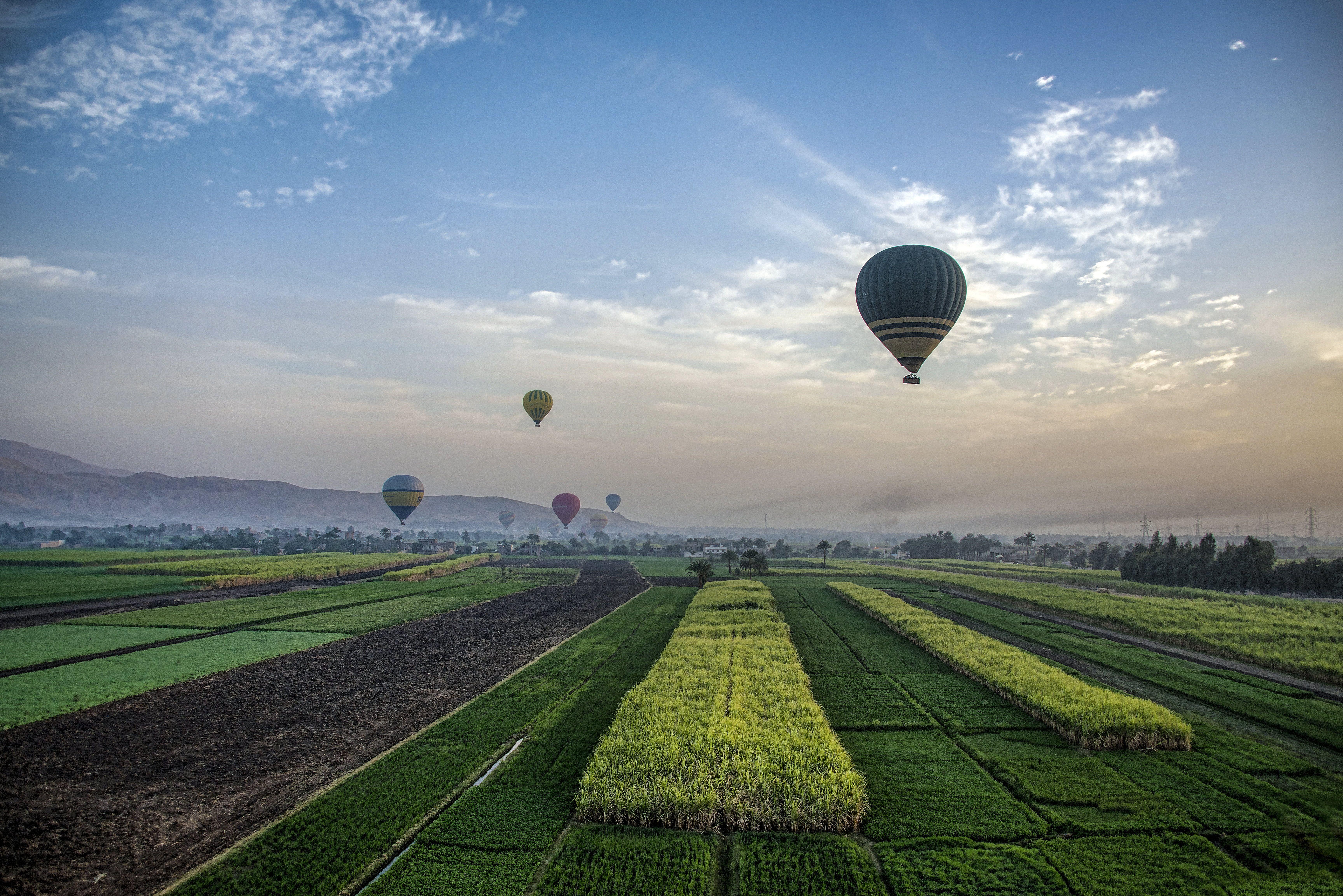 6911x4611 Green grass with flying hot hair balloons photo, luxor HD