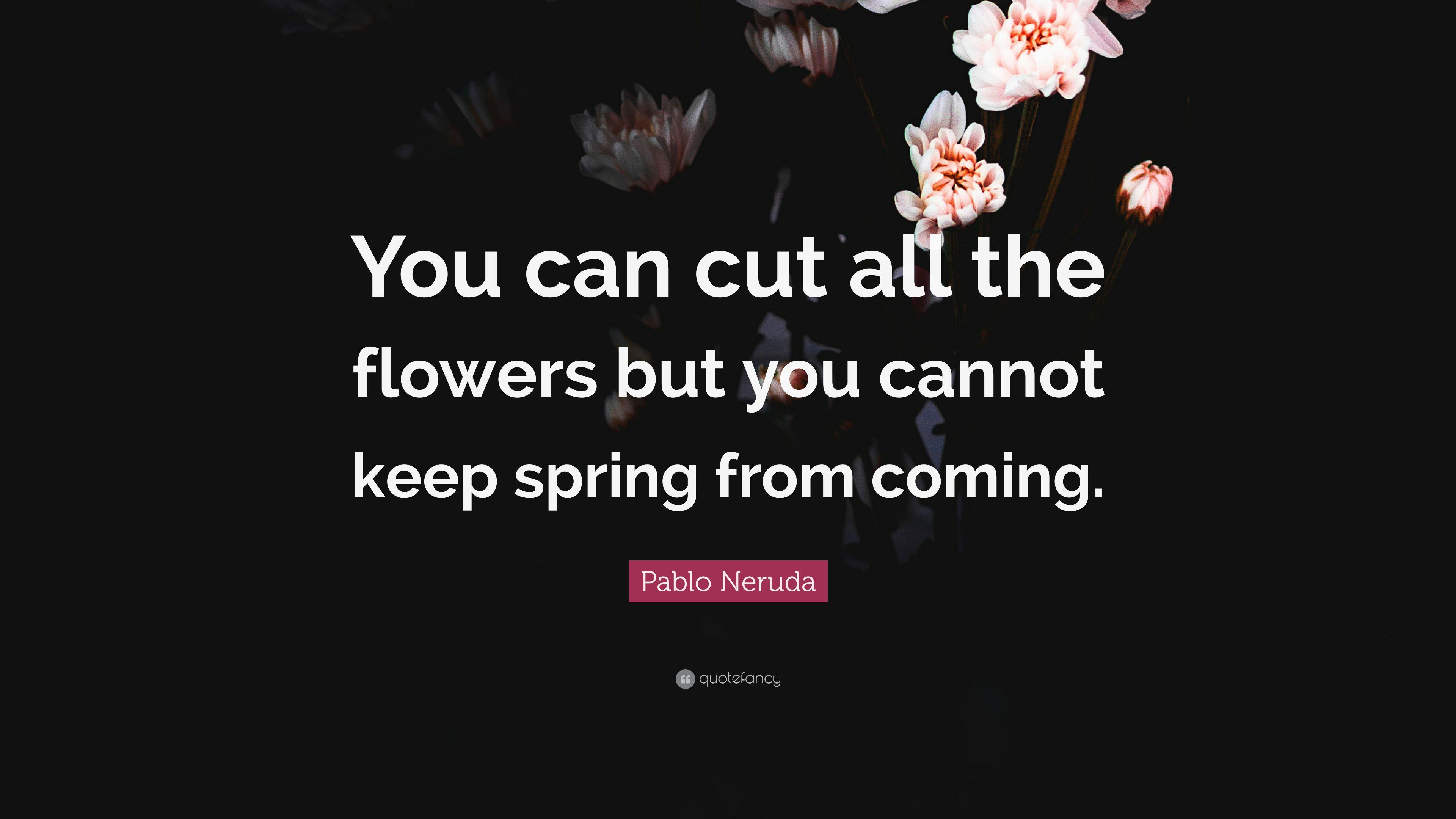 3840x2160 Pablo Neruda Quotes (2026 Update)