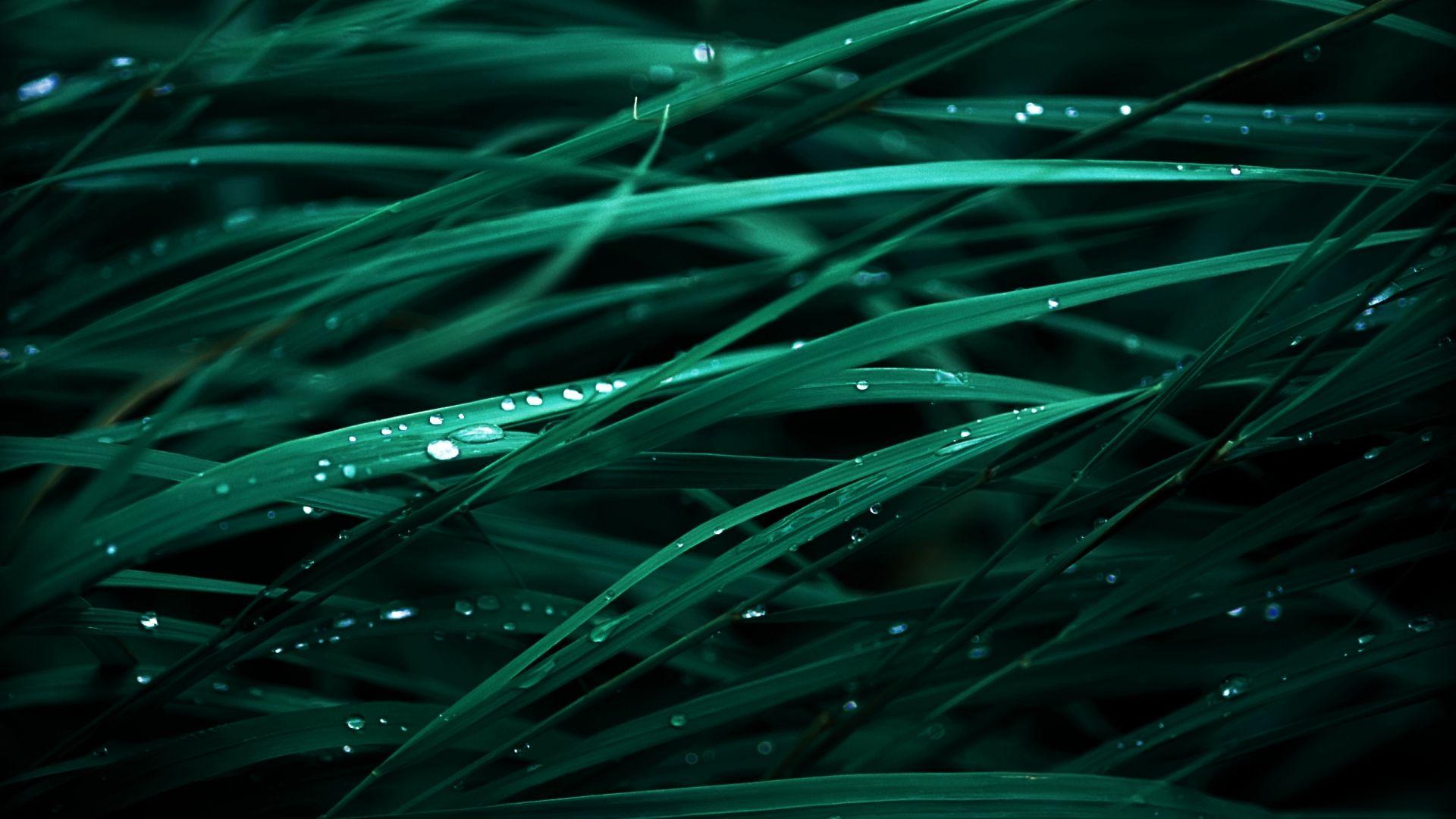 1920x1080 OS X Wallpaper HD 30297 1920x1080px