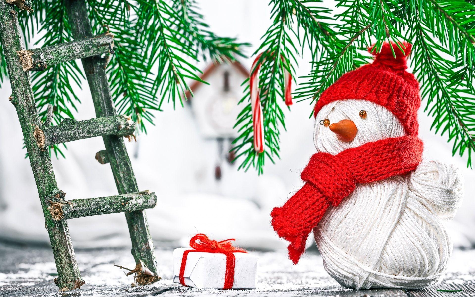 1920x1200 Cute Snowman Wallpaper 11601