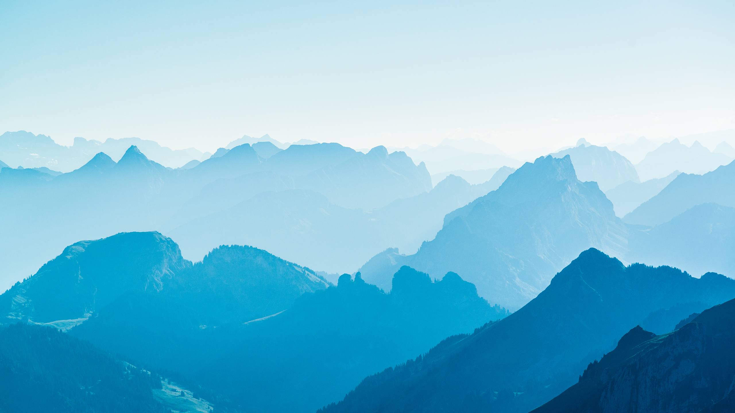 2560x1440 Post Your Best Non Official OS X Yosemite Wallpaper Here