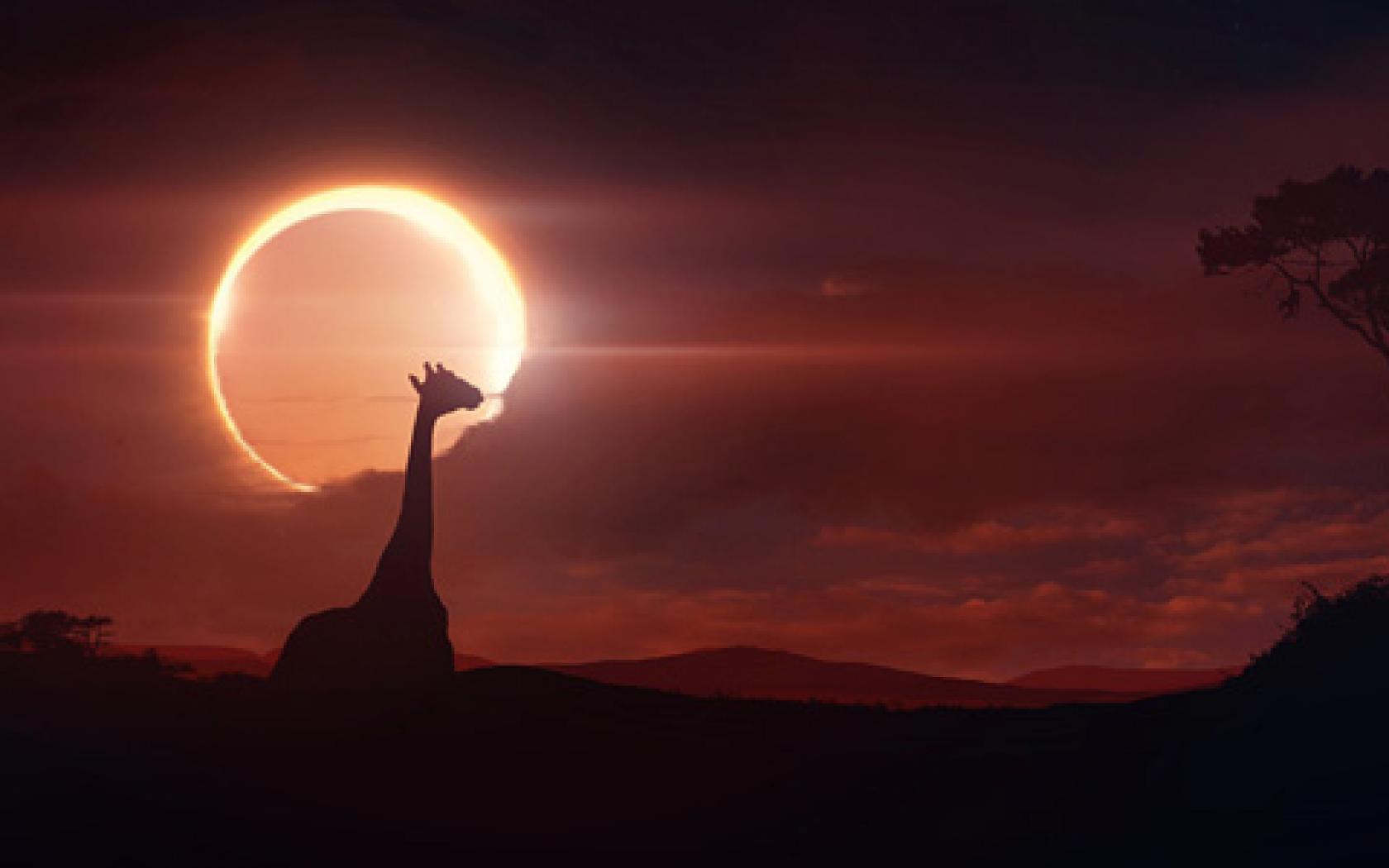 1680x1050 Solar Eclipse Wallpaper #A26C6GA, 0.05 Mb