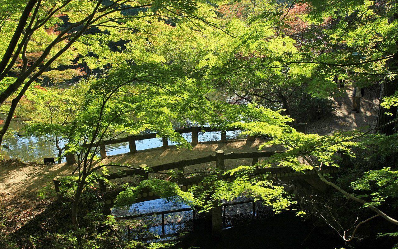 1280x800 Travel Japan Fall scenery in Rokkosan 1280x800 NO.27