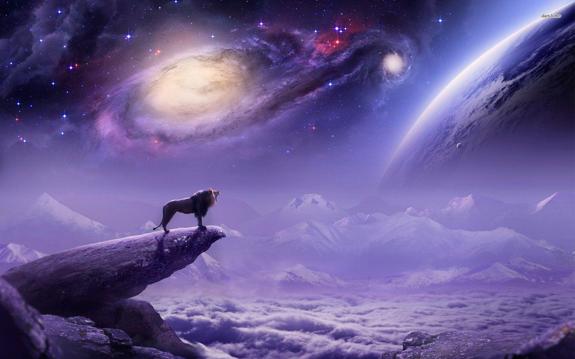 Space Lion Wallpapers Top Free Space Lion Backgrounds