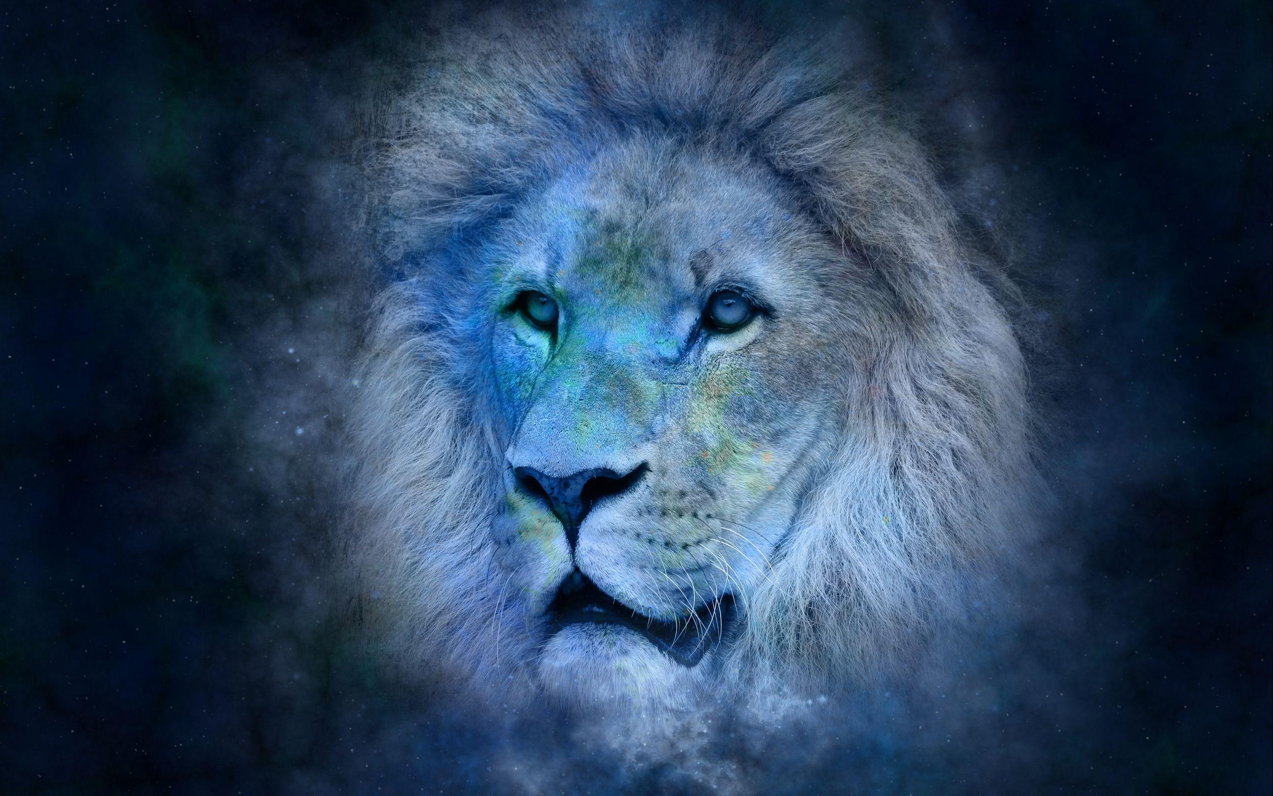 Space Lion Wallpapers Top Free Space Lion Backgrounds