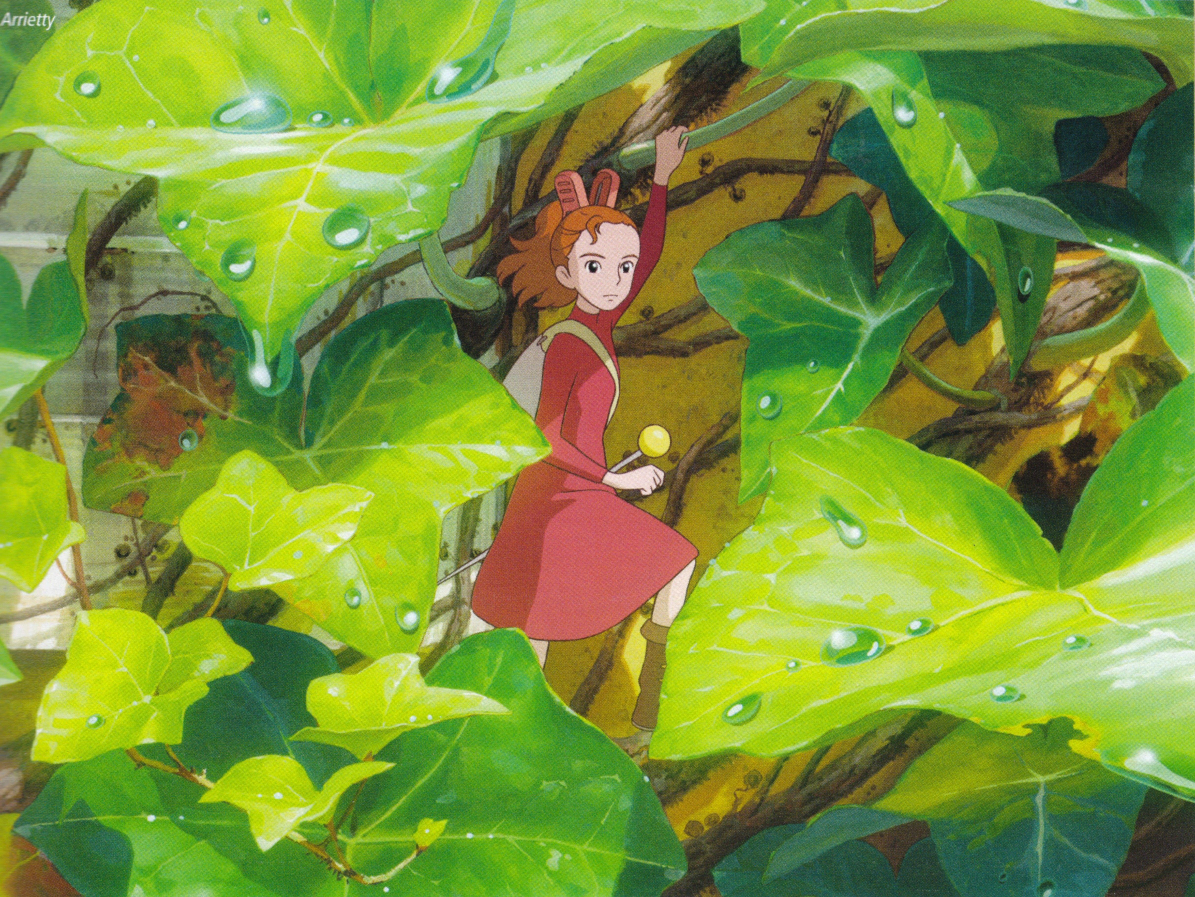 4860x3646 The Borrower Arrietty and Scan Gallery