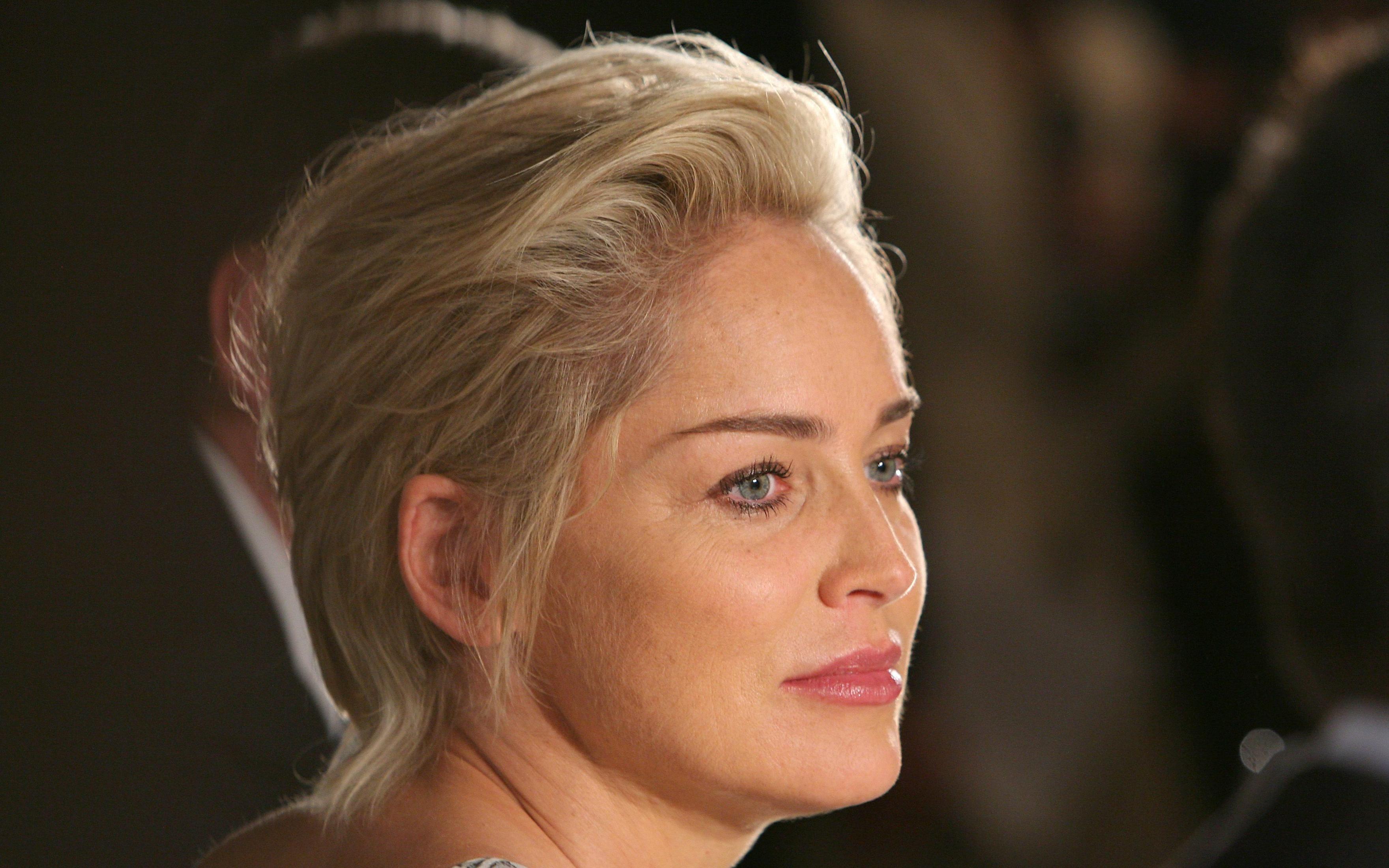 3520x2200 Sharon Stone Wallpaper