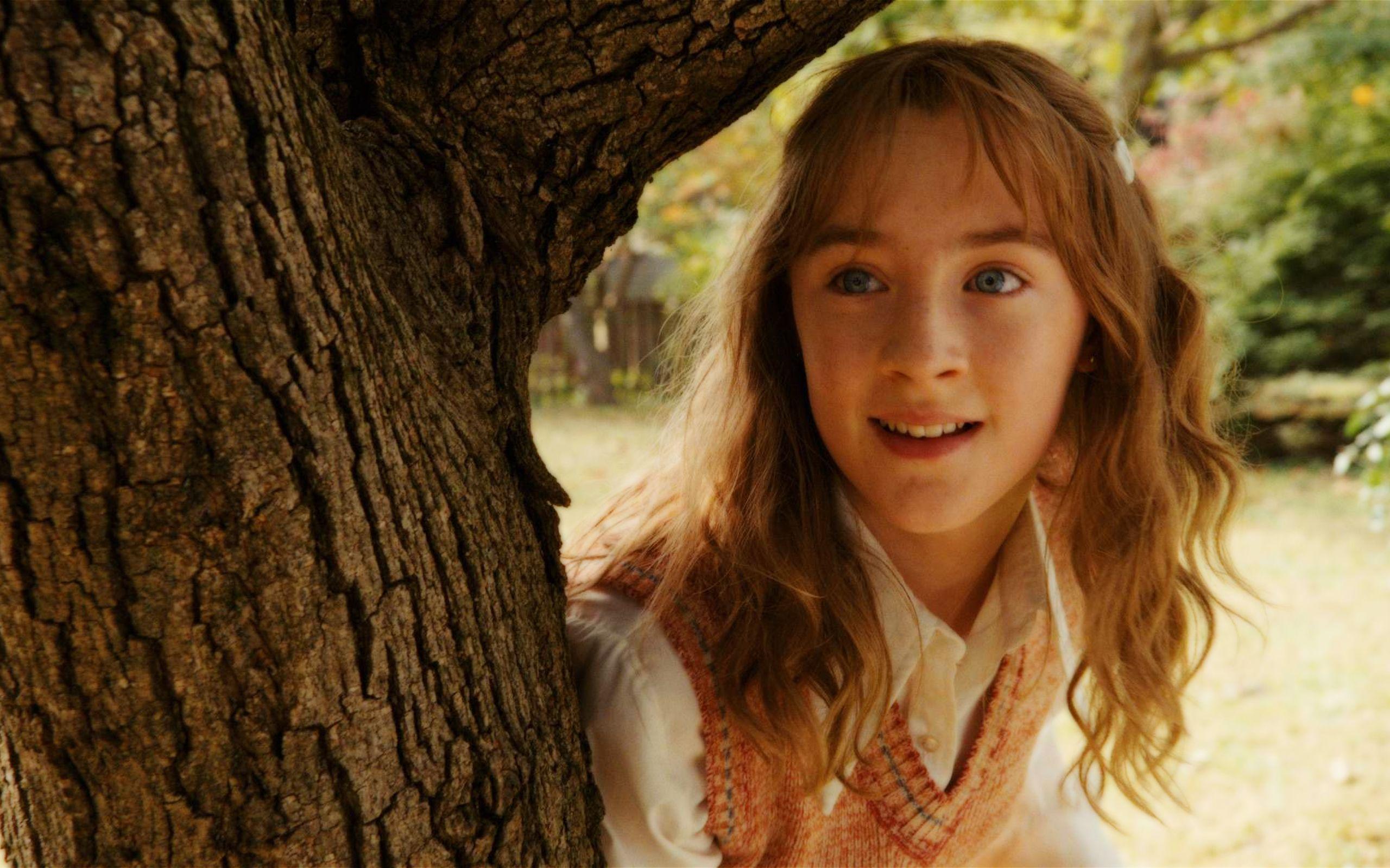 2560x1600 Saoirse Ronan Salmon, HD Wallpaper & background Download