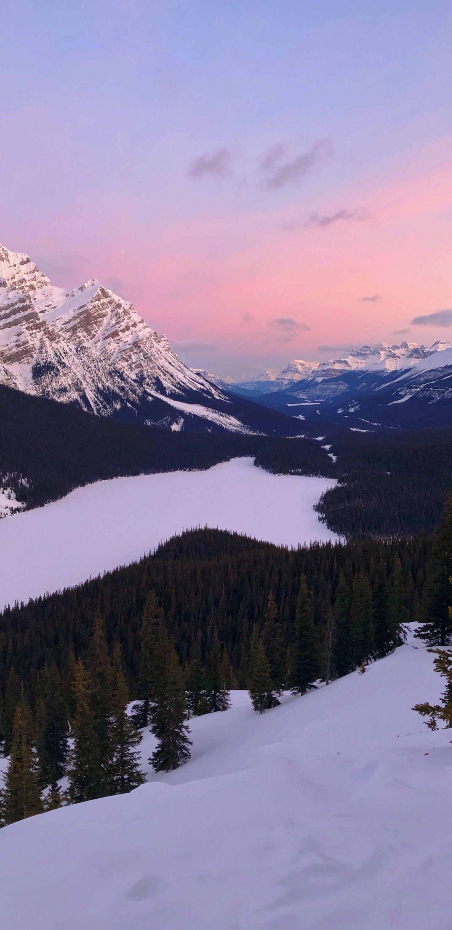 1440x2960 Download 1440x2960 wallpaper lake, sunset, mountains, forest