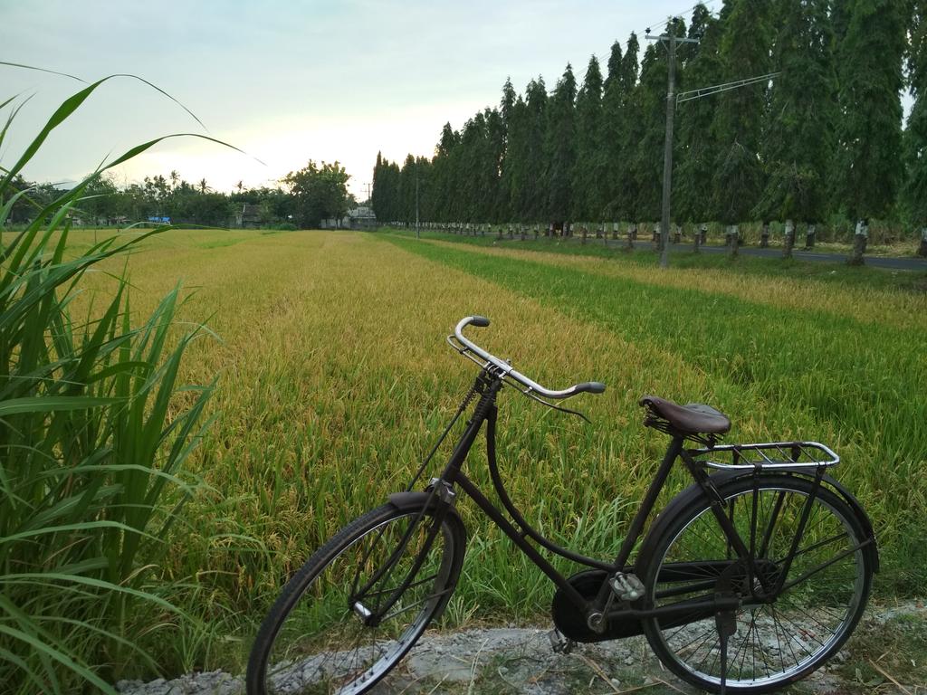 1024x768 Hình nền Sawah - Hình nền HD miễn phí