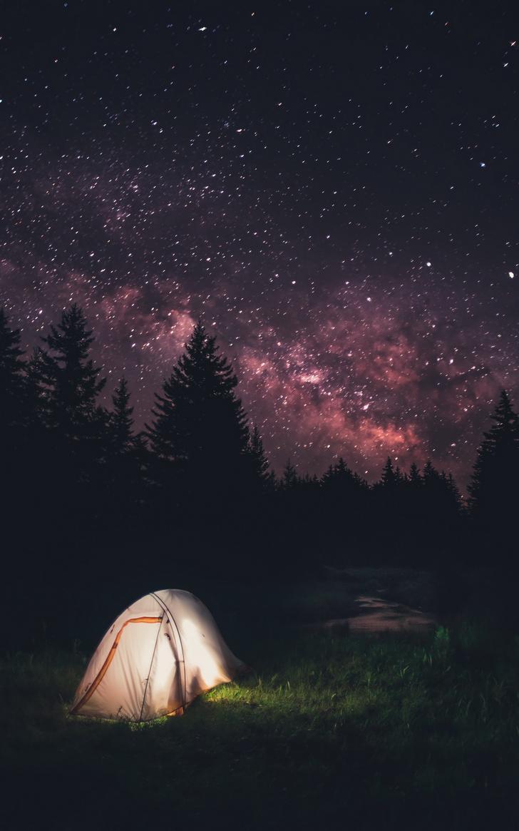 728x1165 Nature (Mobile Wallpaper 128) {1080p to 4k}