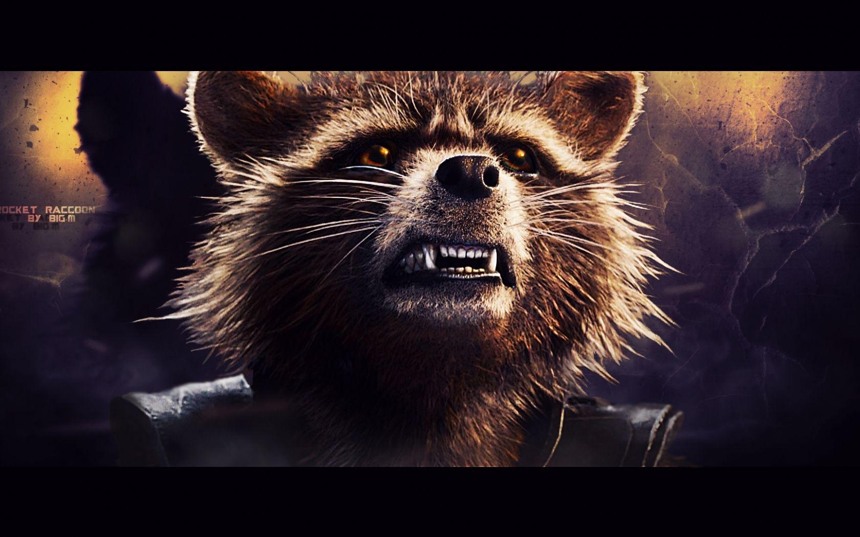 1680x1050 Free download Rocket Raccoon Wallpaper Rocket Raccoon Wallpaper 4
