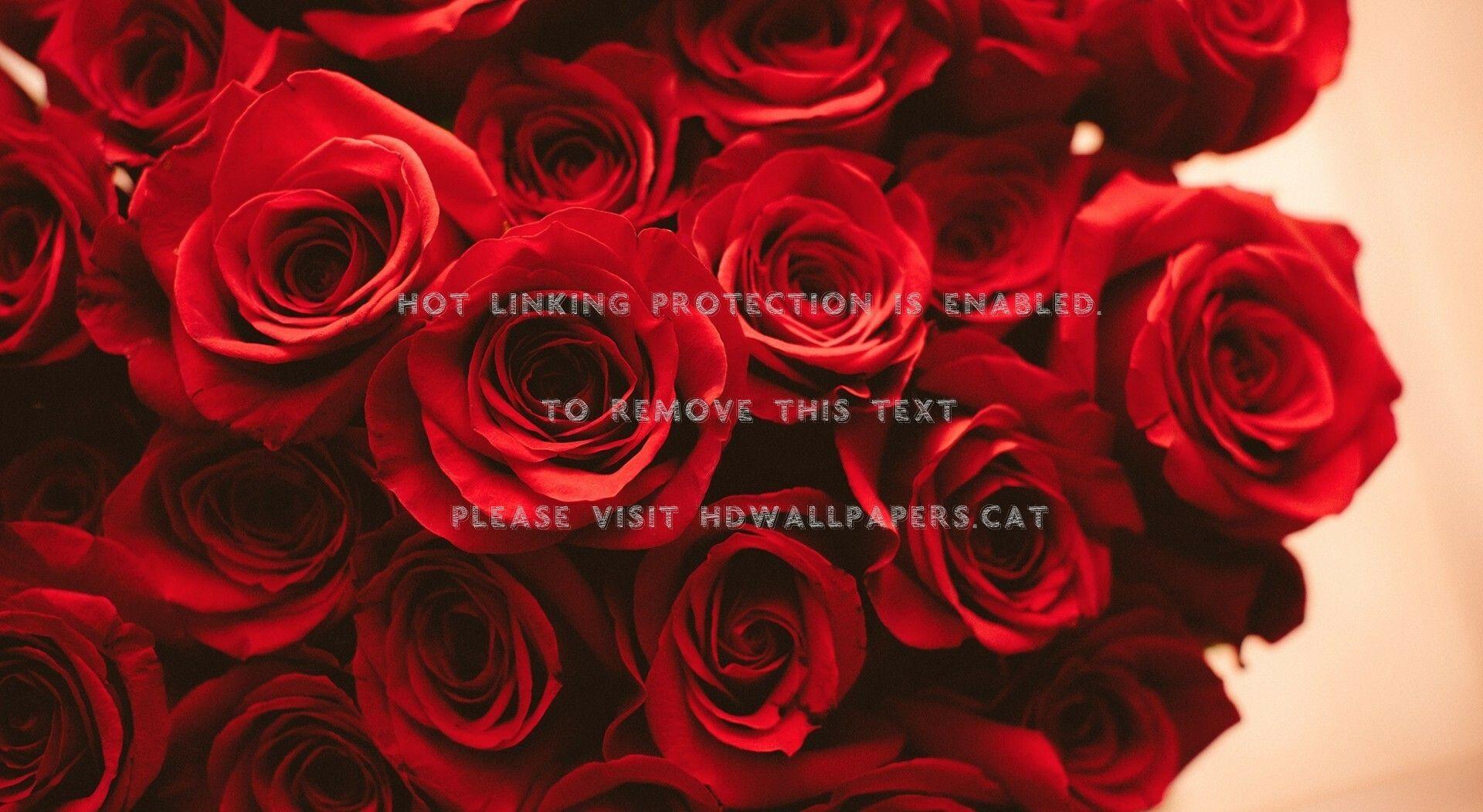 1920x1052 Red Roses Bouquet Petals Flowers Wallpaper Aesthetic