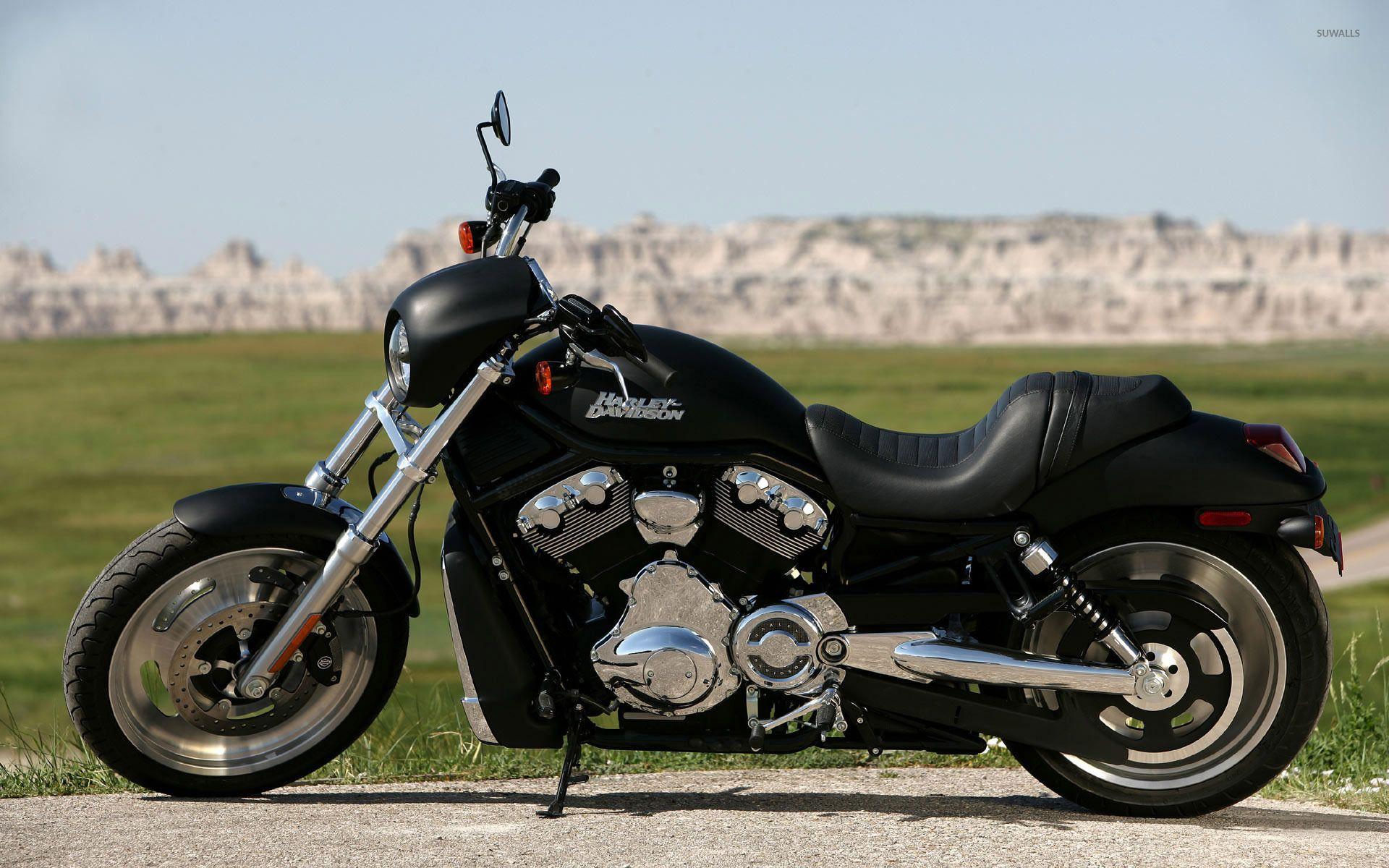 1920x1200 Black Harley Davidson Chopper Wallpaper Wallpaper