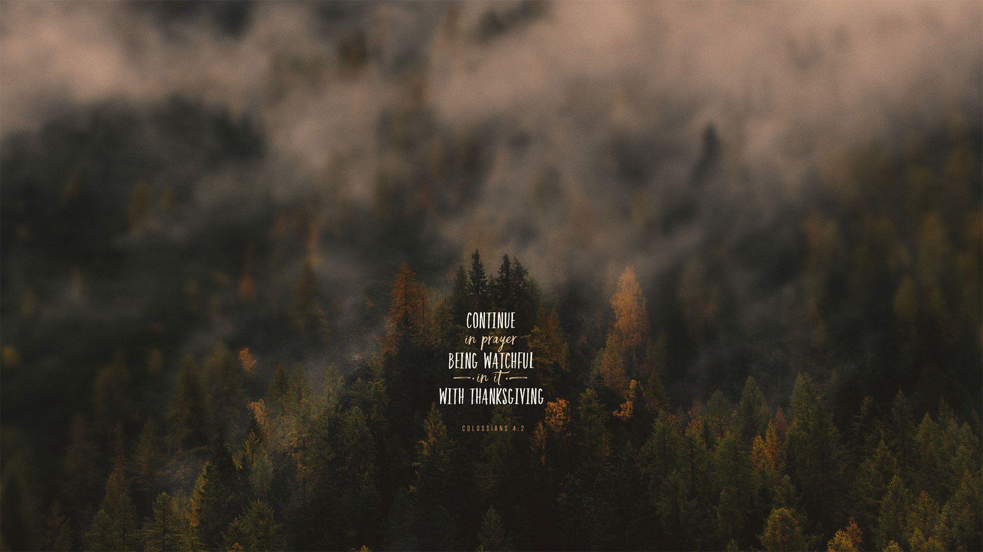 Marcus Aurelius Wallpapers - Top Free Marcus Aurelius Backgrounds ...