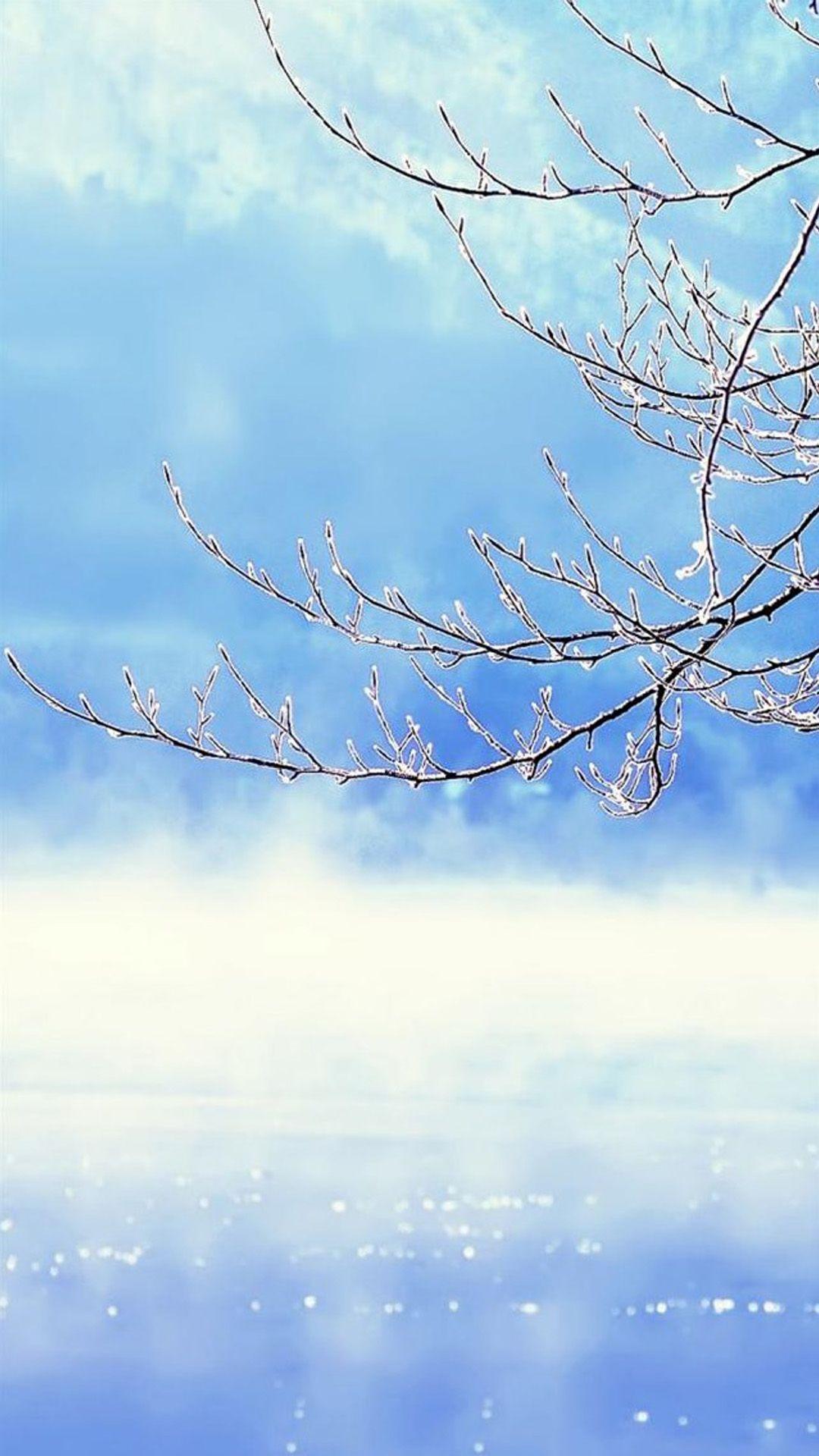 1080x1920 Nature Winter Clear Sunny Snowy Tree Branch Skyscape iPhone 8
