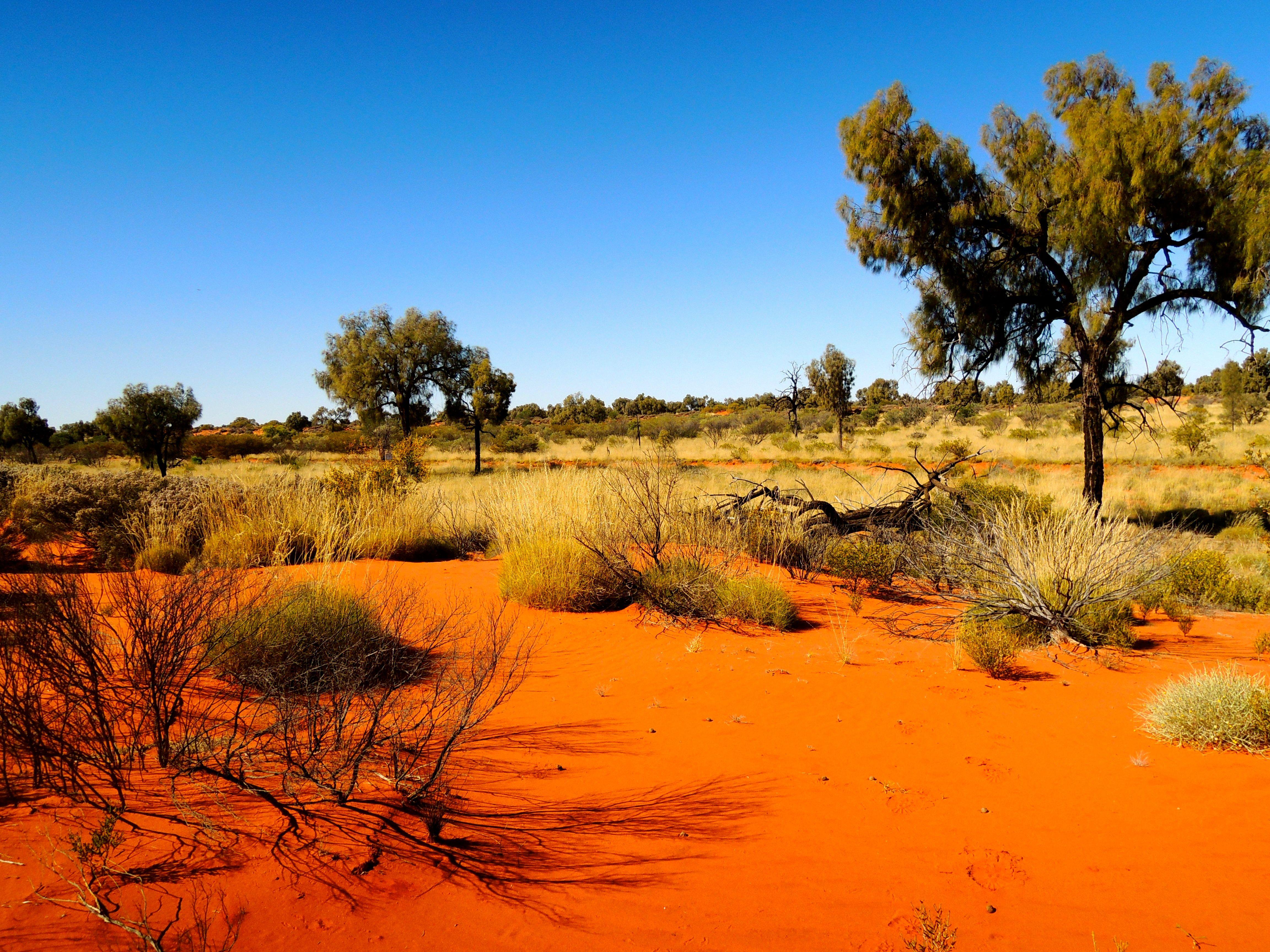 Australia Desert Wallpapers Top Free Australia Desert Backgrounds Wallpaperaccess