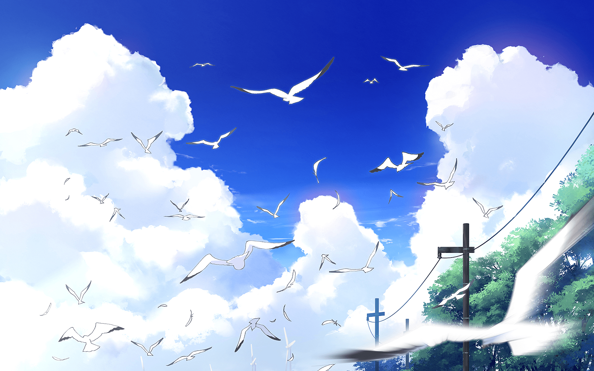 1920x1200 Uchiage Hanabi Sky: Stunning HD Anime Wallpaper from Shita kara Miru ka? Yoko kara Miru ka?x1200