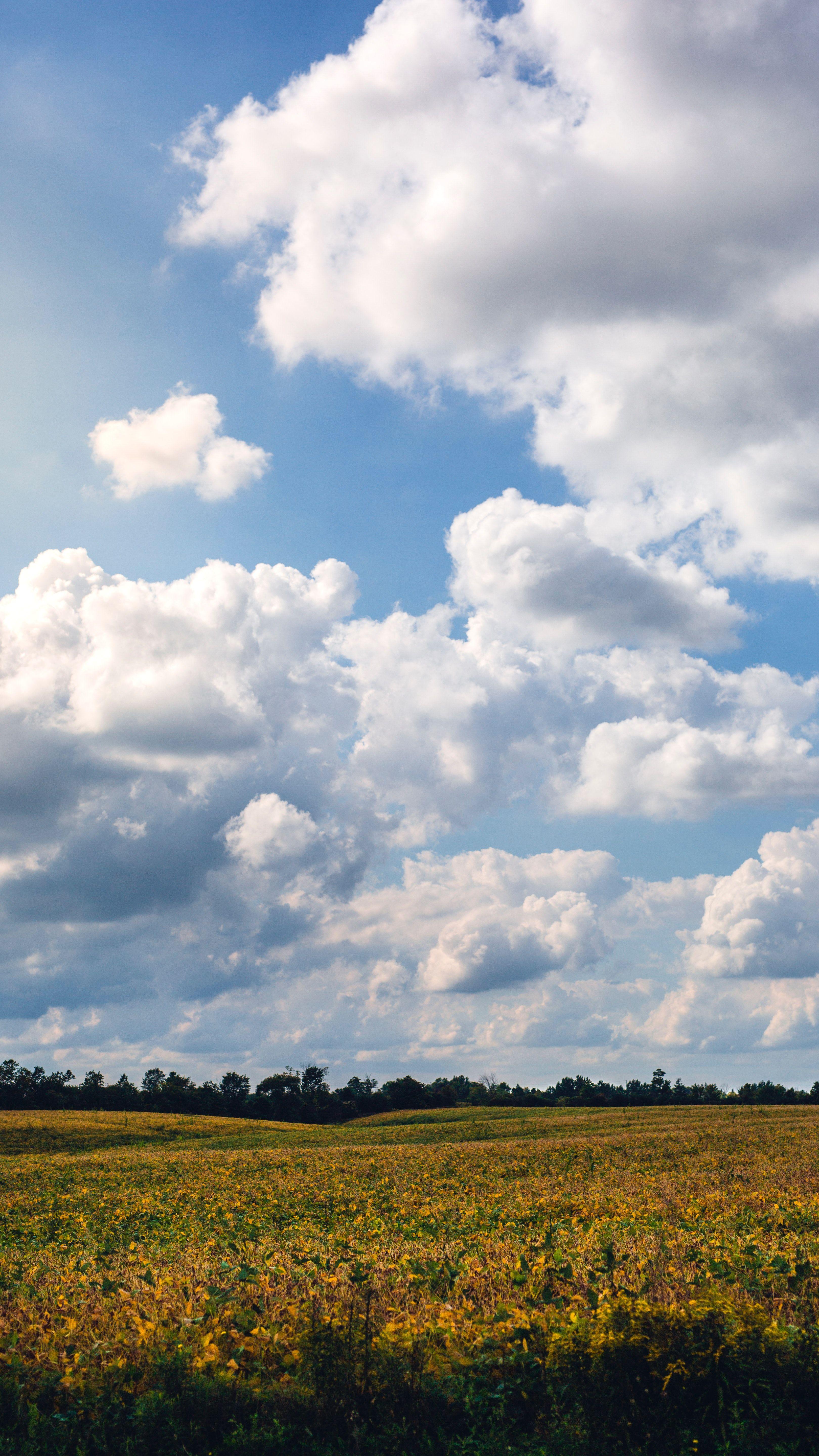 3240x5760 Free of clouds, farm, phone wallpaper