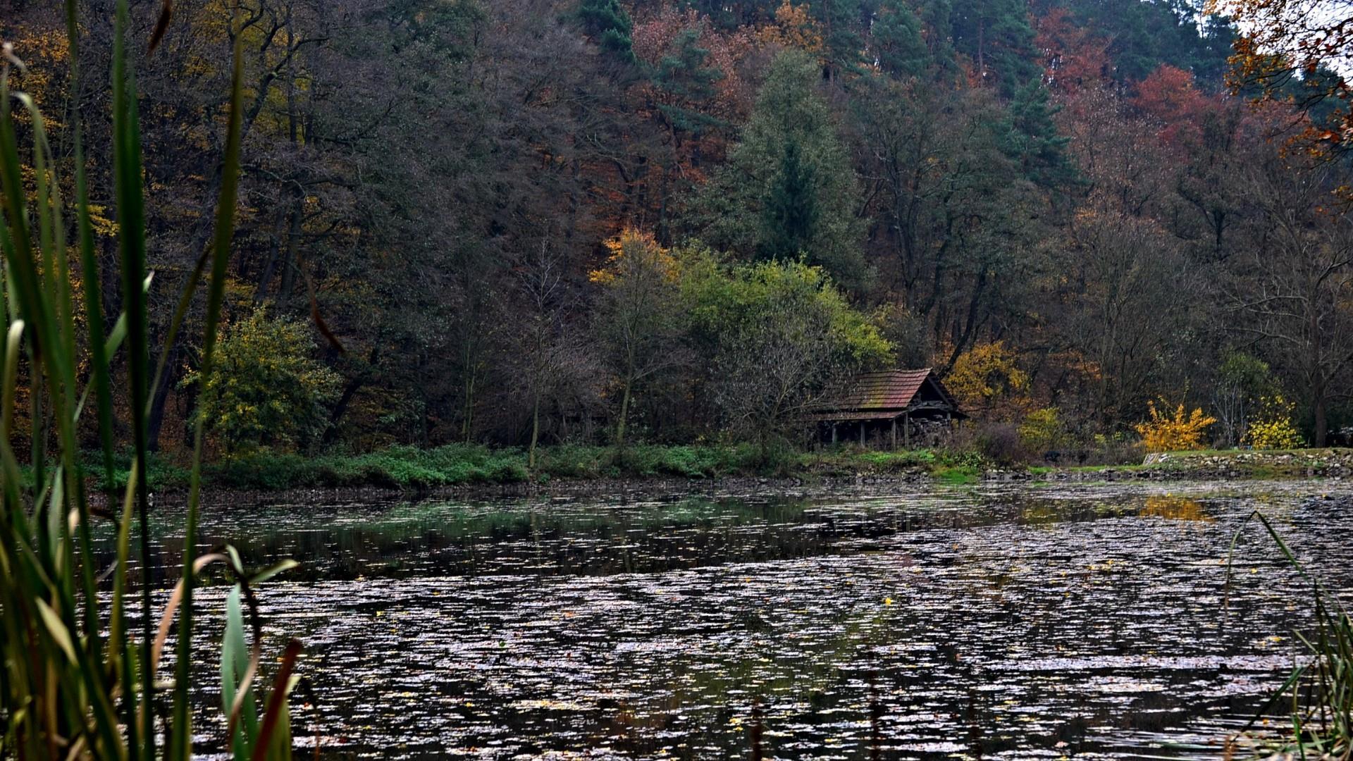 1920x1080 Autumn In Kurim (Czech Republic) Wallpaper. Wallpaper Studio 10