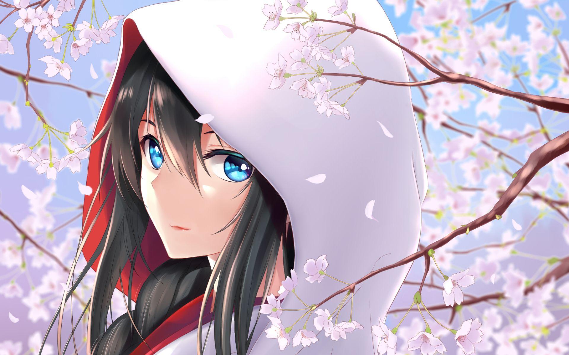 1920x1200 Yukino Yukinoshita Wallpaper