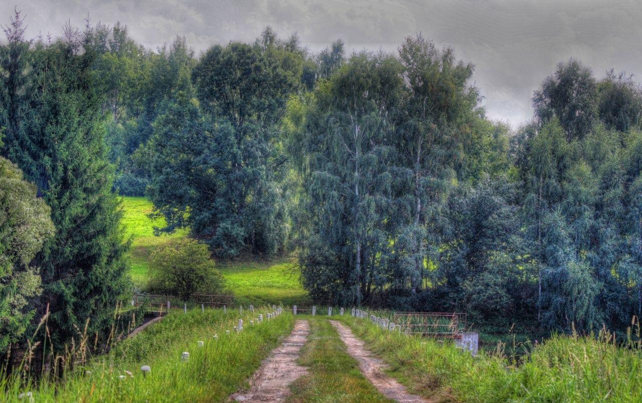 1280x804 Czech Republic Forest wallpaper. Czech Republic Forest