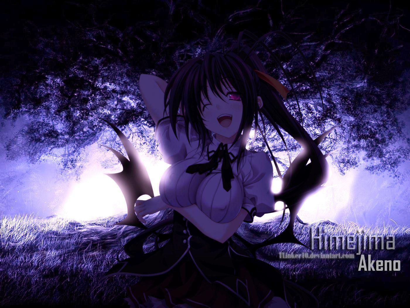 1400x1050 Akeno Himejima Wallpaper