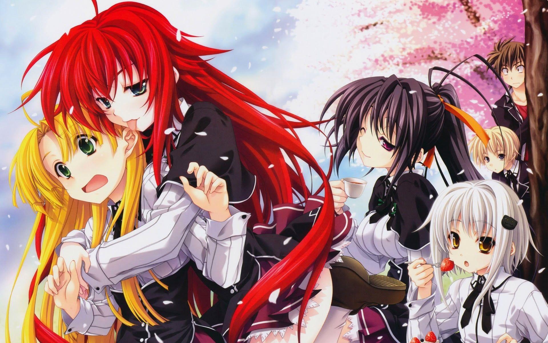 1920x1200 High School DXD wallpaper, anime girls, anime, Highschool DxD, Gremory Rias HD wallpaper