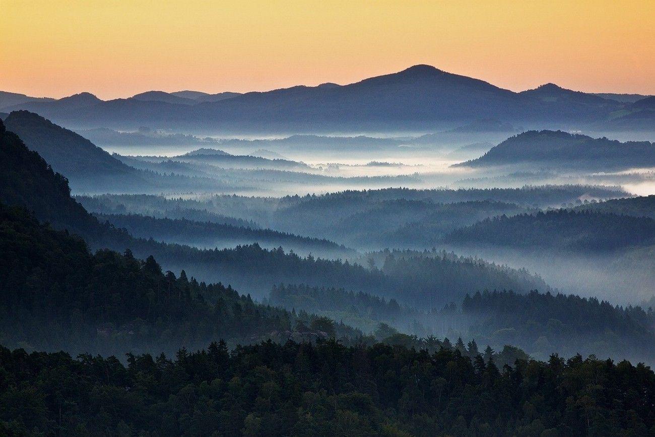 1300x867 nature, Landscape, Mist, Mountain, Forest, Sunrise, Blue, Czech