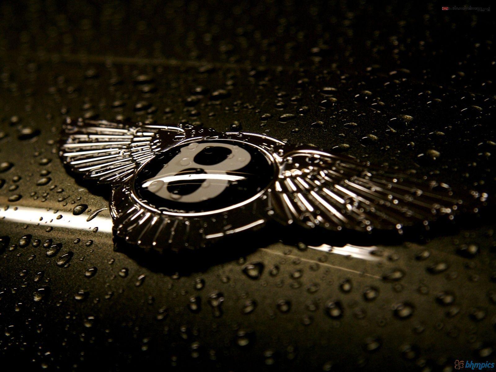 Bentley Logo Wallpapers - Top Free Bentley Logo Backgrounds -  WallpaperAccess