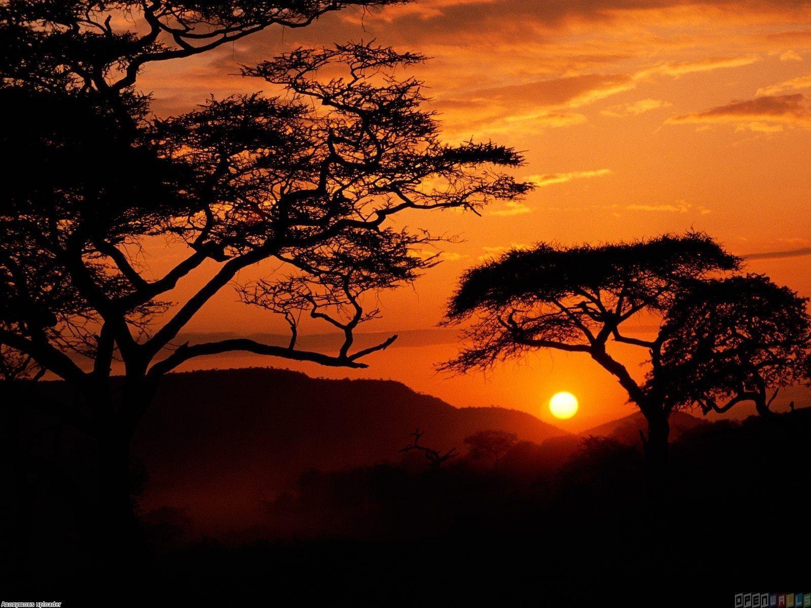 1600x1200 Serengeti National Park Wallpaper