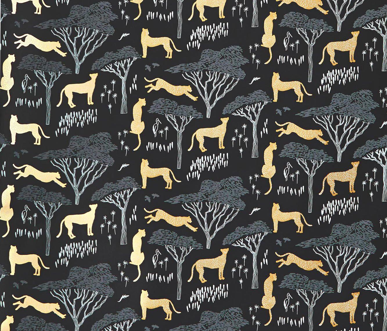 Serengeti Wallpapers - Top Free Serengeti Backgrounds - WallpaperAccess