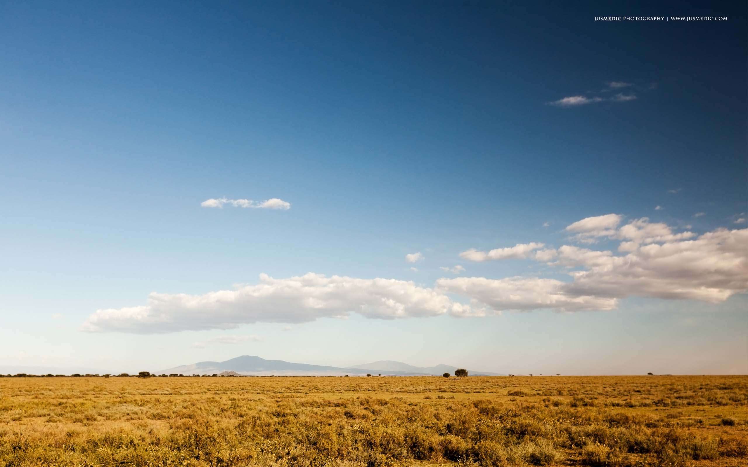 2560x1600 Serengeti National Park Wallpaper
