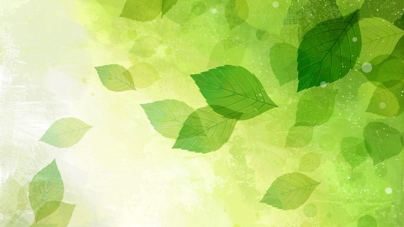 Abstract Leaves Wallpapers - Top Free Abstract Leaves Backgrounds