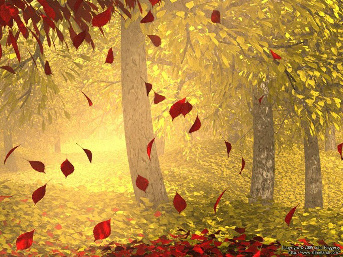 1200x900 Leaves abstract Wallpaper